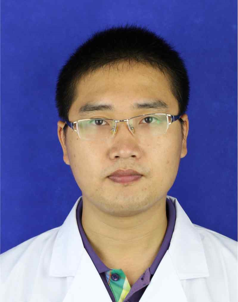 陈晓迪